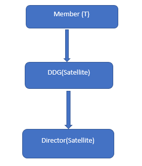 Satelitte Services